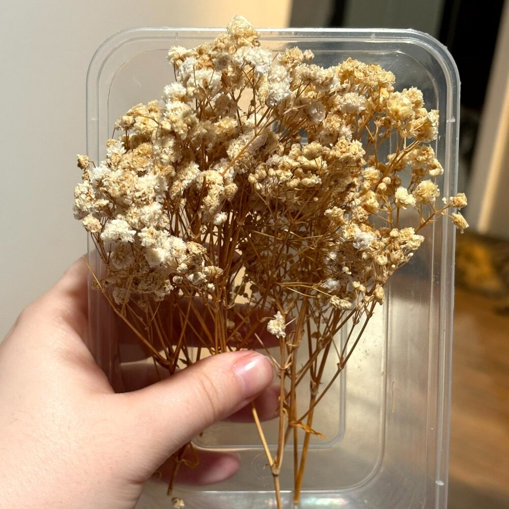 yellow dried flowers. never used